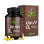 cannabis oil pret pareri prospect forum